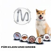 Lade das Bild in den Galerie-Viewer, DogSafe - Anti-Zeckenhalsband