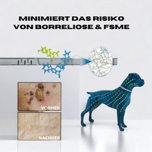 Lade das Bild in den Galerie-Viewer, DogSafe - Anti-Zeckenhalsband