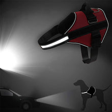 Lade das Bild in den Galerie-Viewer, TrailPaws - das personalisierte Hundegeschirr