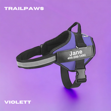 Lade das Bild in den Galerie-Viewer, TrailPaws - das personalisierte Hundegeschirr