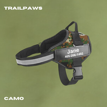 Lade das Bild in den Galerie-Viewer, TrailPaws - das personalisierte Hundegeschirr