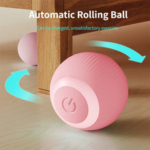 Lade das Bild in den Galerie-Viewer, PetGravity® Ball

